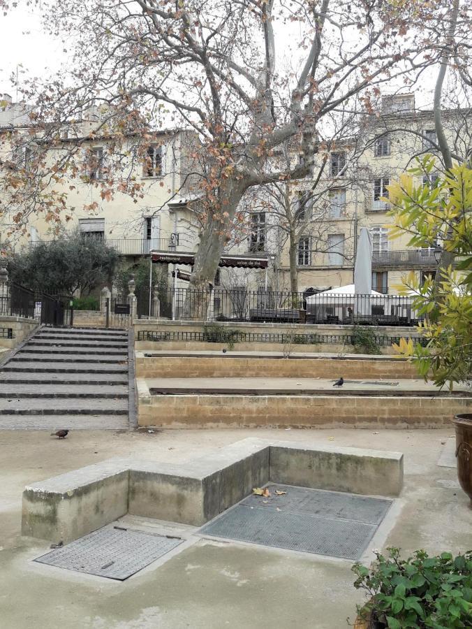 Le Balcon De Saint Roch Apartment Montpellier Ngoại thất bức ảnh