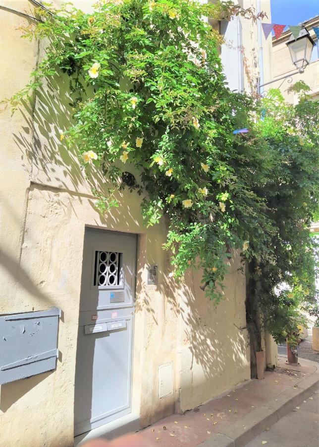 Le Balcon De Saint Roch Apartment Montpellier Ngoại thất bức ảnh