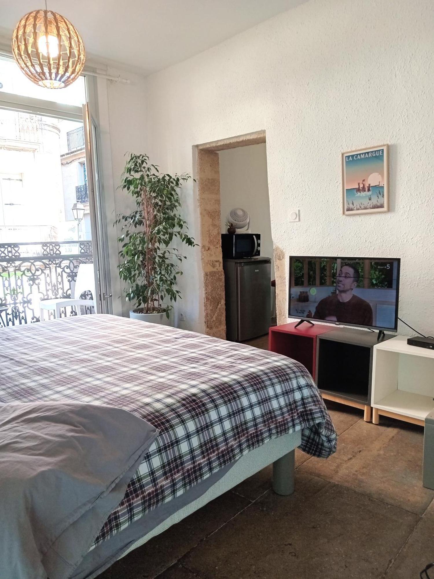Le Balcon De Saint Roch Apartment Montpellier Ngoại thất bức ảnh